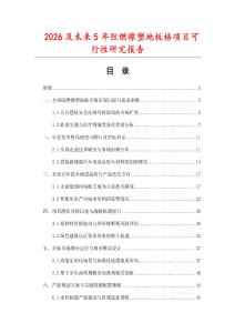 2026及未來5年阻燃橡塑地板格項目可行性研究報告