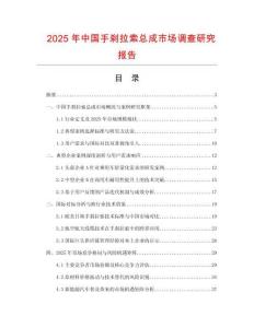 2025年中國手剎拉索總成市場調查研究報告