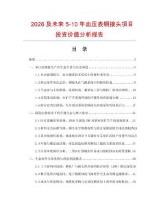 2026及未來5-10年血壓表銅接頭項目投資價值分析報告