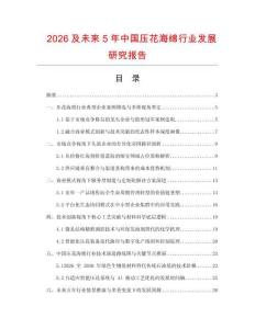 2026及未來5年中國壓花海綿行業發展研究報告