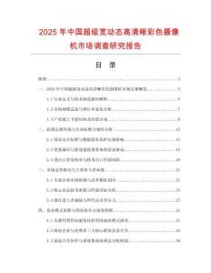 2025年中國超級寬動態高清晰彩色攝像機市場調查研究報告