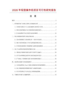2026年輕型操作機項目可行性研究報告