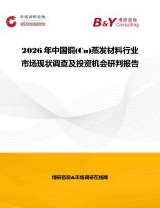 2026年中國銅(Cu)蒸發材料行業市場現狀調查及投資機會研判報告