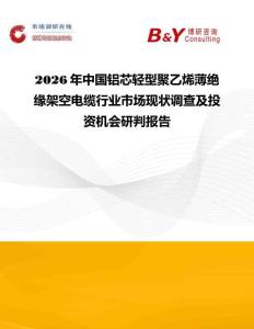 2026年中國鋁芯輕型聚乙烯薄絕緣架空電纜行業市場現狀調查及投資機會研判報告