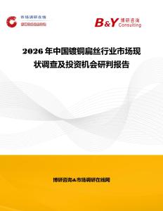 2026年中國鍍銅扁絲行業市場現狀調查及投資機會研判報告