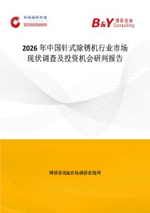 2026年中國針式除銹機行業市場現狀調查及投資機會研判報告