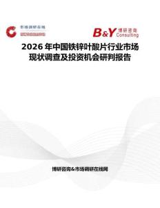 2026年中國鐵鋅葉酸片行業(yè)市場現(xiàn)狀調(diào)查及投資機會研判報告