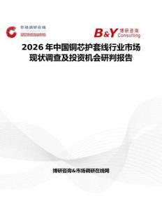 2026年中國銅芯護套線行業市場現狀調查及投資機會研判報告