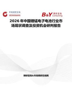 2026年中國(guó)鋰錳電子電池行業(yè)市場(chǎng)現(xiàn)狀調(diào)查及投資機(jī)會(huì)研判報(bào)告