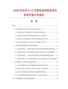 2026及未来5-10年荔枝纹钥匙包项目投资价值分析报告