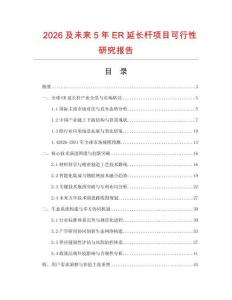 2026及未來5年ER延長桿項目可行性研究報告