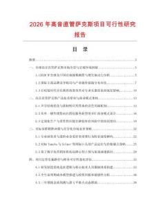 2026年高音直管薩克斯項目可行性研究報告