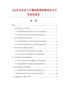 2026及未來5年暮色圖案拼圖項目可行性研究報告