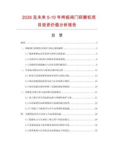 2026及未來5-10年閘板閥門研磨機項目投資價值分析報告