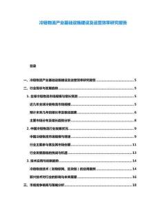 冷鏈物流產(chǎn)業(yè)基礎(chǔ)設(shè)施建設(shè)及運營效率研究報告
