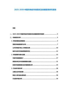2025-2030中國充電樁市場現狀及發展前景研究報告