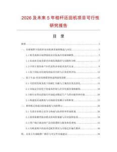 2026及未來5年桔桿還田機項目可行性研究報告