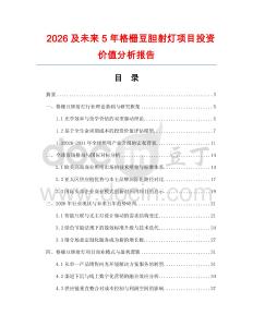 2026及未來5年格柵豆膽射燈項目投資價值分析報告