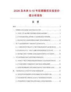 2026及未來5-10年彩塑膜項目投資價值分析報告