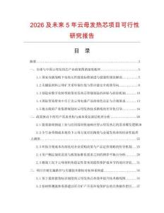 2026及未來5年云母發熱芯項目可行性研究報告
