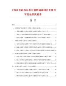 2026年前后左右可調帶軸承暗合頁項目可行性研究報告