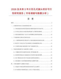 2026及未來5年片形孔式接頭項目可行性研究報告（市場調查與數據分析）