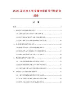 2026及未來5年支撐體項目可行性研究報告