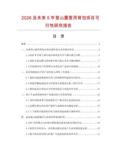 2026及未來5年登山露營用背包項目可行性研究報告
