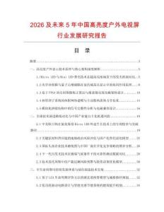 2026及未來5年中國高亮度戶外電視屏行業發展研究報告