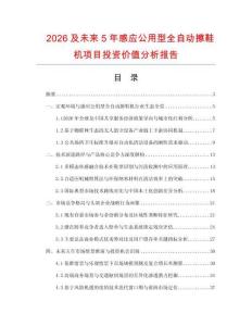 2026及未來5年感應公用型全自動擦鞋機項目投資價值分析報告