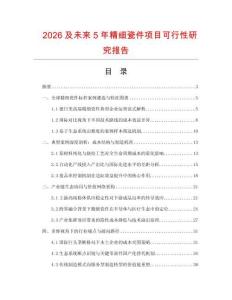 2026及未來5年精細瓷件項目可行性研究報告