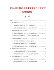 2026年中國內外壁鏡面管項目投資可行性研究報告