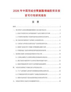 2026年中國雙組份聚氨酯填縫膠項目投資可行性研究報告