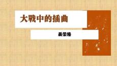 《大戰中的插曲》