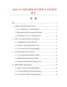 2026年中國打磨機(jī)項(xiàng)目投資可行性研究報(bào)告