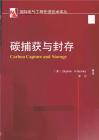 國際電碳捕獲與封存