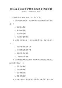 2025年會(huì)計(jì)電算化原理與應(yīng)用考試及答案