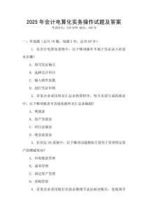 2025年會(huì)計(jì)電算化實(shí)務(wù)操作試題及答案