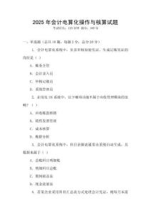 2025年会计电算化操作与核算试题