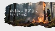 森林防火重要意義與實踐指南(1)