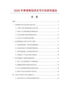 2026年萊塔斯氈項目可行性研究報告