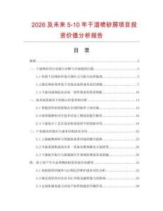 2026及未來5-10年干濕噴砂房項目投資價值分析報告