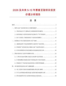 2026及未來5-10年蔥香豆豉項目投資價值分析報告