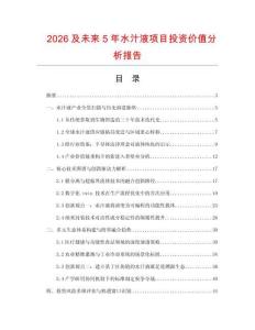 2026及未来5年水汁液项目投资价值分析报告