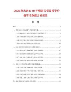 2026及未來5-10年鋼刮刀項(xiàng)目投資價(jià)值市場數(shù)據(jù)分析報(bào)告