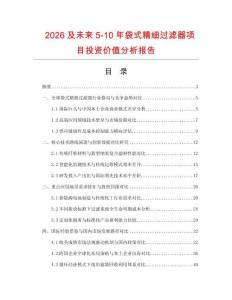 2026及未來5-10年袋式精細過濾器項目投資價值分析報告