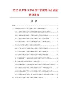 2026及未來5年中國竹炭肥皂行業發展研究報告