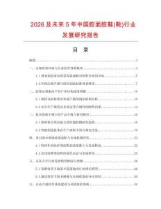 2026及未來5年中國膠面膠鞋(靴)行業發展研究報告