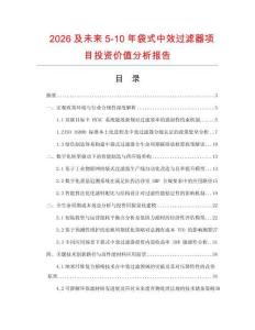 2026及未來5-10年袋式中效過濾器項目投資價值分析報告