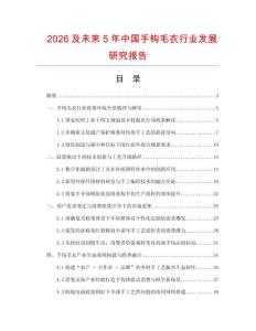 2026及未來5年中國手鉤毛衣行業發展研究報告
